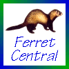 Ferret Central