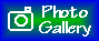 Ferret Photo Gallery |