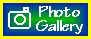 Ferret Photo Gallery |